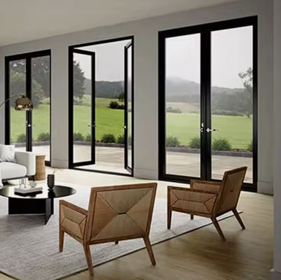 Hochwertige Aluminiumlegierung 6063-T5 Rahmen-Schwingtür für gewerbliche und private Anwendungen mit anpassbarem Zubehör